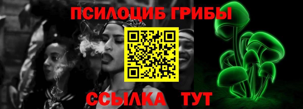 Галлюциногенные грибы Psilocybe Люберцы